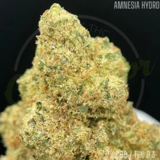 CBD Lemonhaze Premium